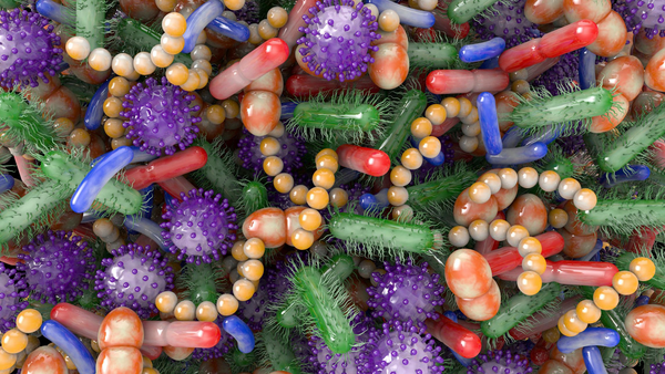 Healthy-gut-bacteria-microbiome-digestive-probiotic-natural