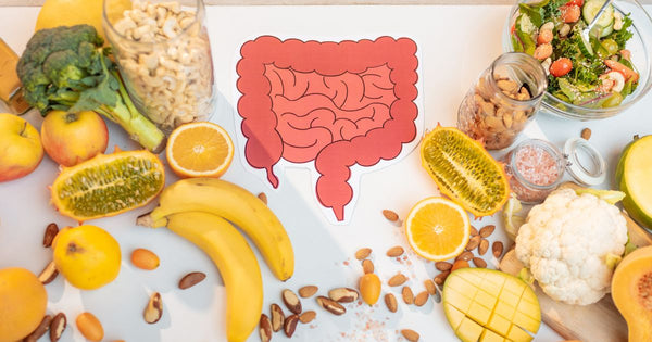 The Gut: A Secret Powerhouse for Overall Health