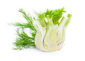 Fennel