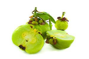 Garcinia Cambogia