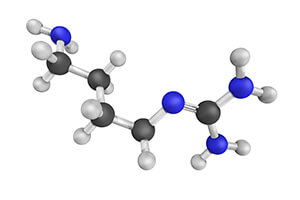 L-Arginine