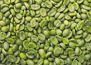 Green Coffee Bean Extract